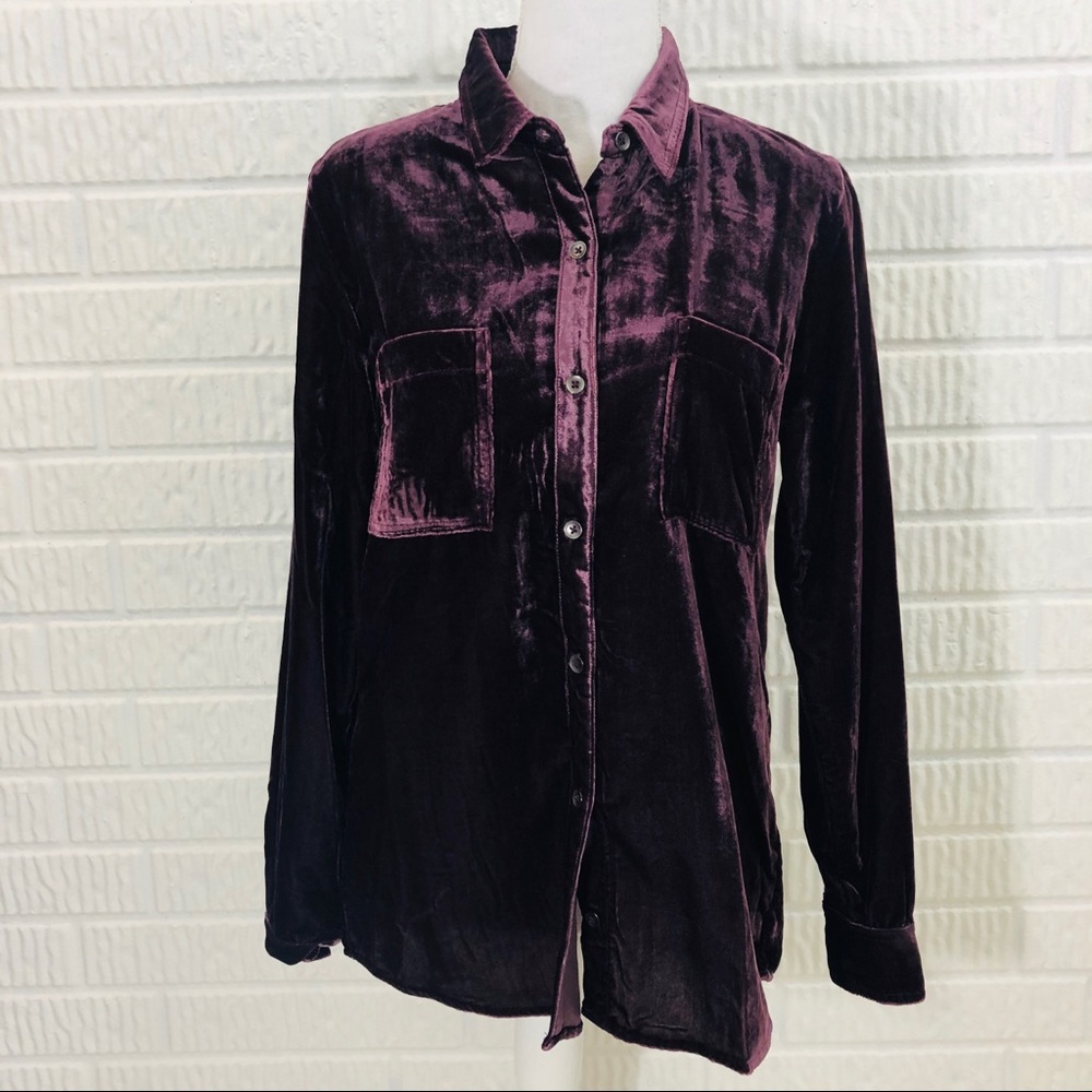 NWT Splendid Aubergine velvet button down shirt